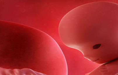 10. teden nosečnosti